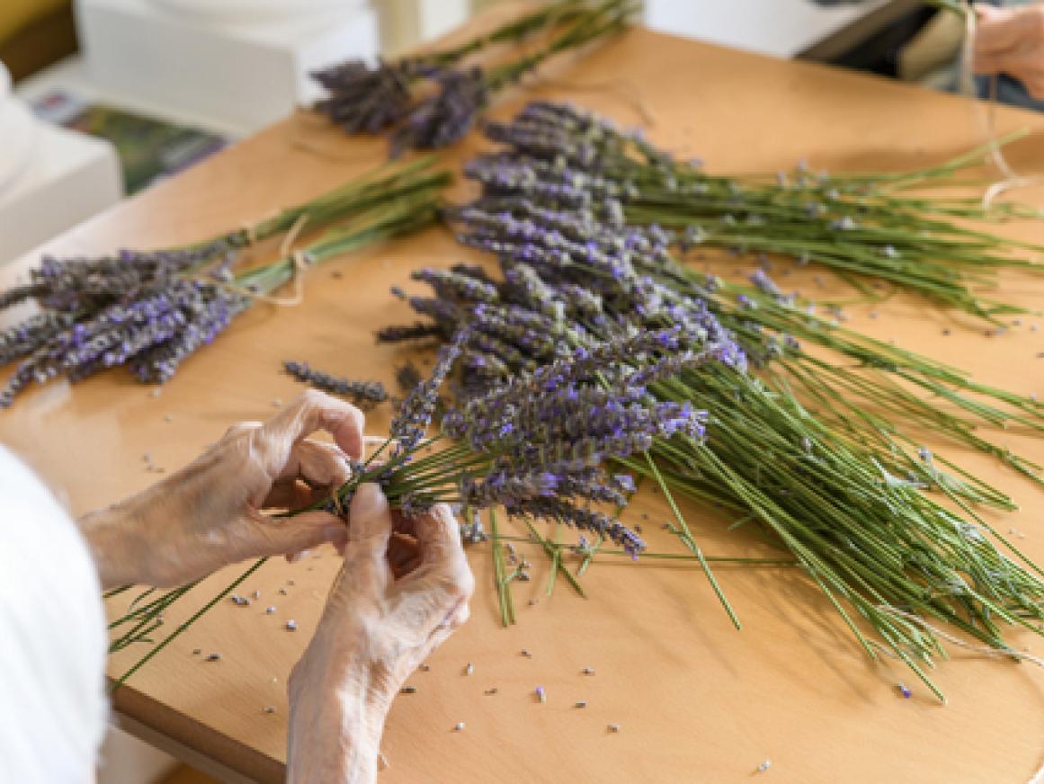Gallery of Our Home in Romsey Cedar Lawn Nursing Home